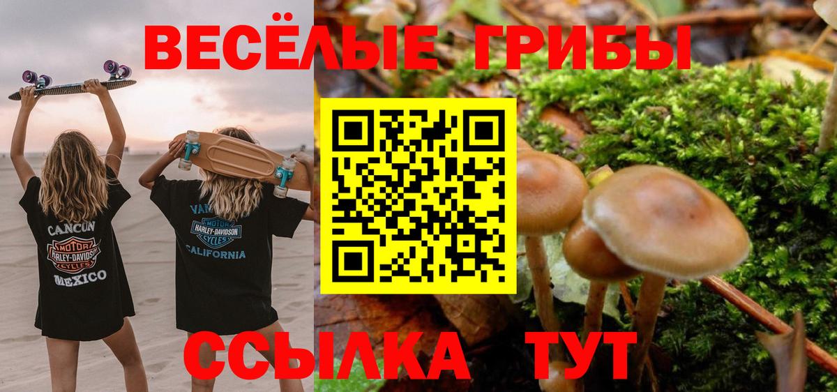 Ефремов  Псилоцибиновые грибы Cubensis  Псилоцибиновые грибы ЛСД  Вход с VPN 